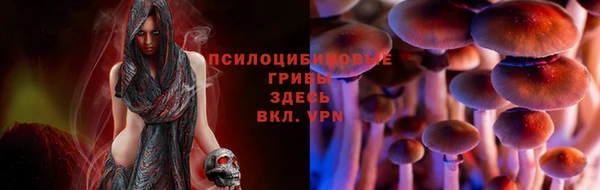 герыч Алексин