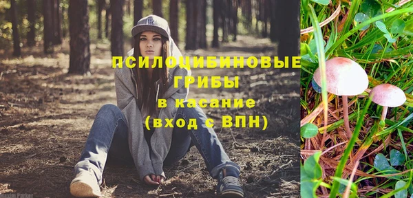 герыч Алексин