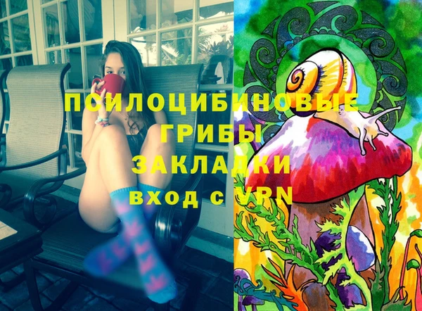 герыч Алексин