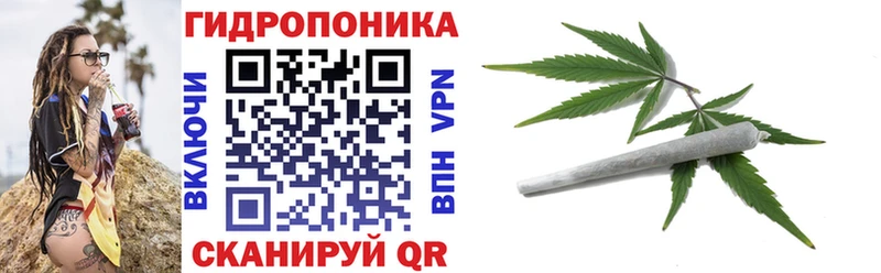 цены наркотик  Старая Купавна  blacksprut tor  Бошки Шишки сатива 